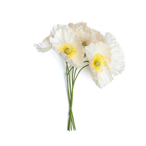 PAPAVERO BIANCO D7 H16